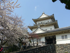 f0079980_05152.jpg