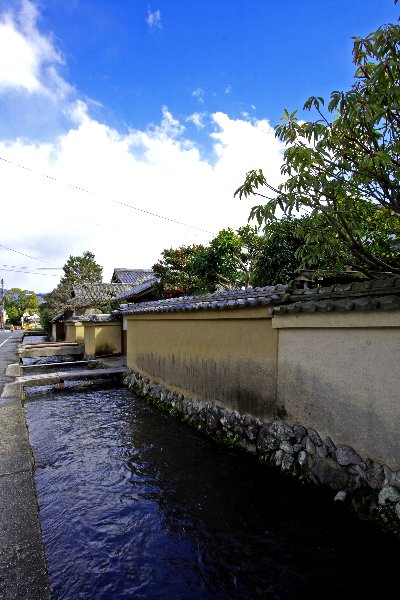 西村家庭園_e0051888_20423647.jpg