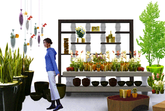 e0080090_1131068.gif