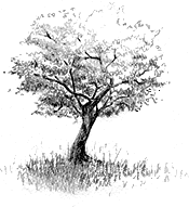 a0042798_22354434.gif