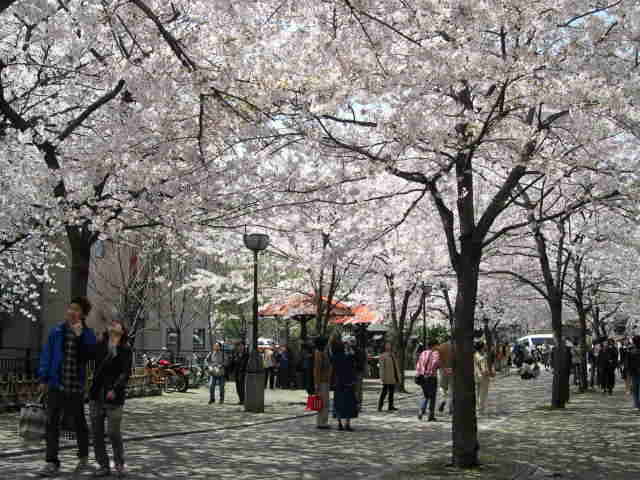 e0035204_19195436.jpg