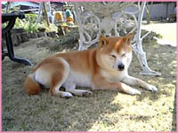c0060620_23114932.jpg