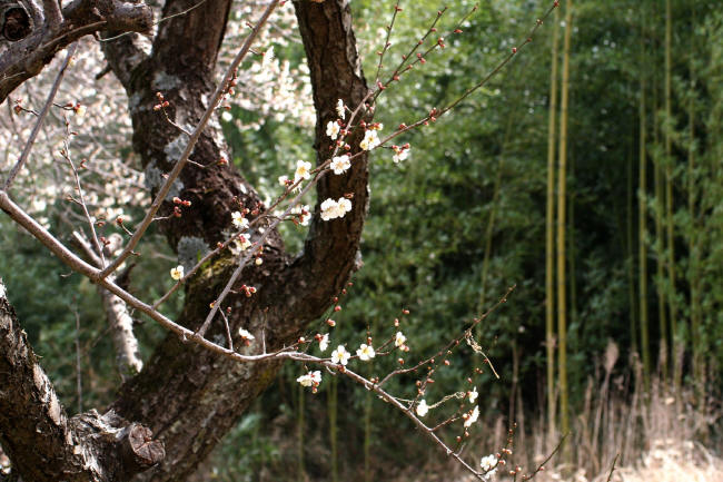 f0017530_203598.jpg