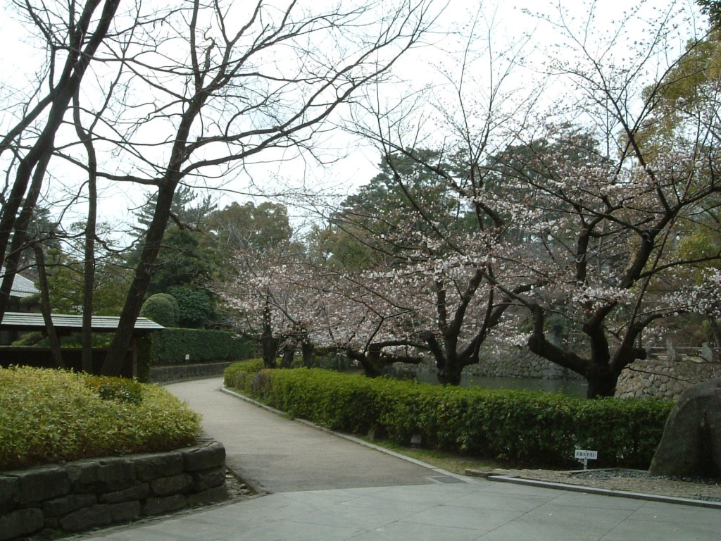 sakura2006－愛知・岡崎－_b0058733_185179.jpg