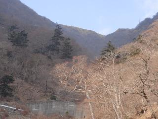 a0048040_23141724.jpg