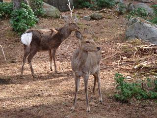 a0048040_2319171.jpg