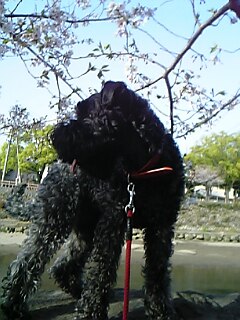 c0037701_1924698.jpg