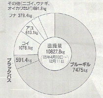 ブラックバスがいない！_c0047201_0103148.jpg