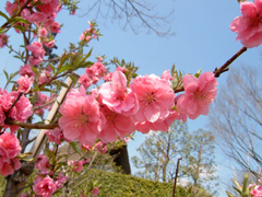 f0031709_22175671.jpg