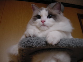 c0024410_23213671.jpg