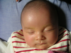 e0087210_07972.jpg