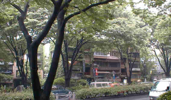 f0090719_8354862.jpg