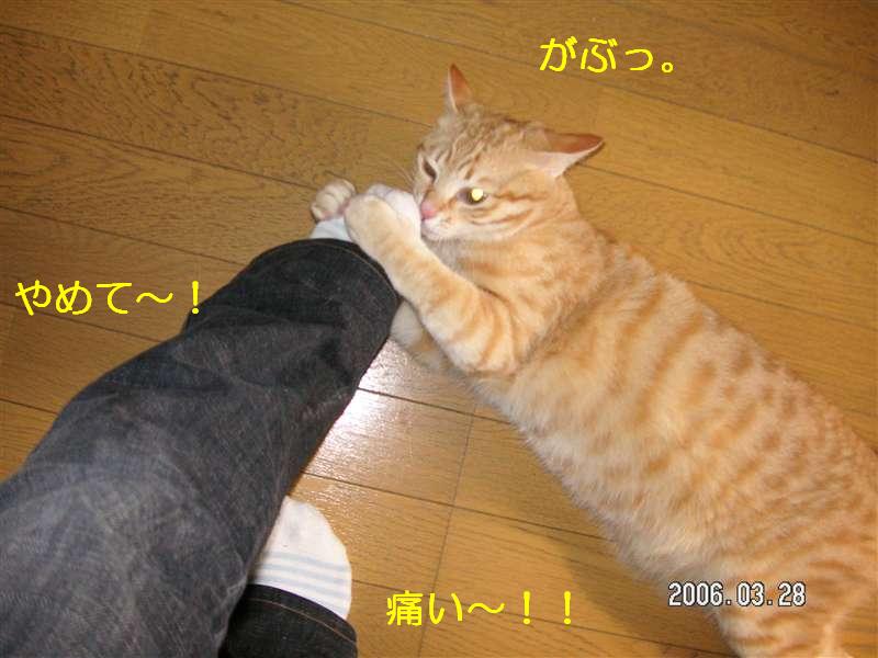 d0046821_92437.jpg