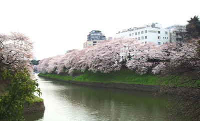 f0060428_95376.jpg