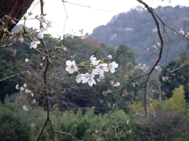 f0067138_2234732.jpg