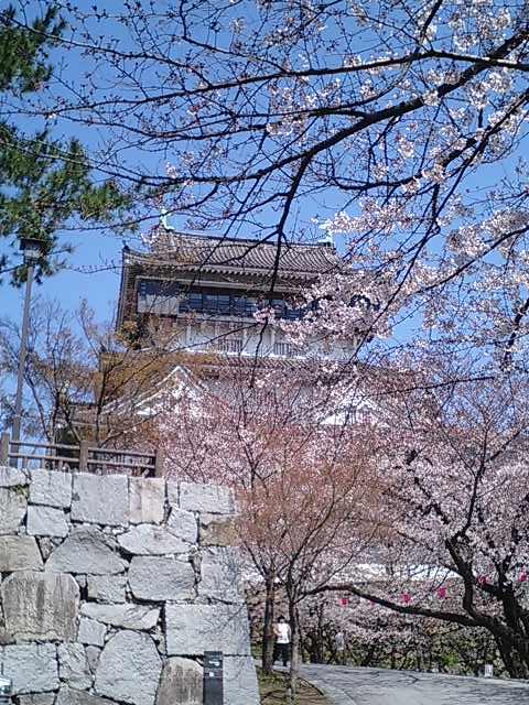 b0033247_91450.jpg
