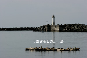 e0080452_06465.jpg
