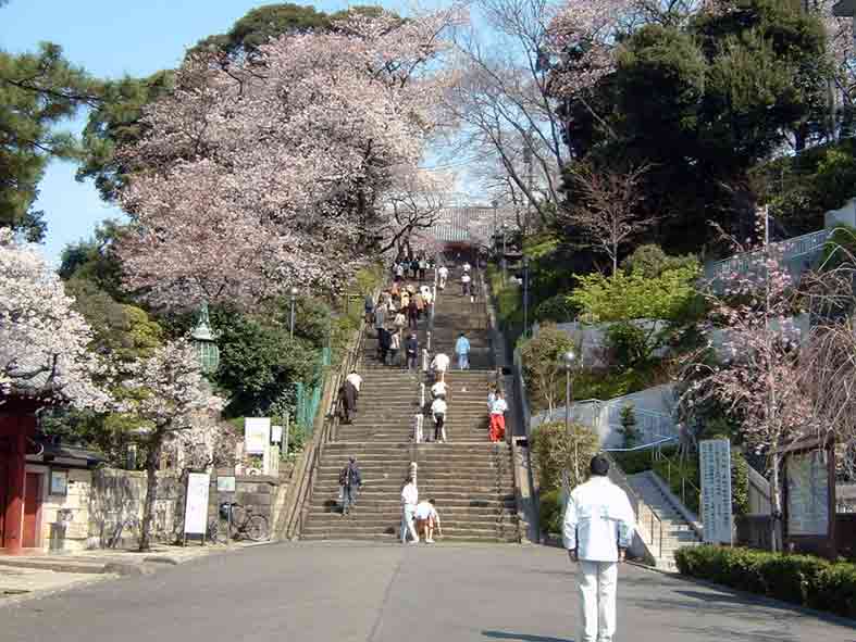 池上本門寺にて_f0036759_9404358.jpg
