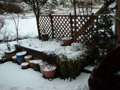 f0059473_15554354.jpg