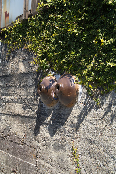 c0054876_6301790.jpg