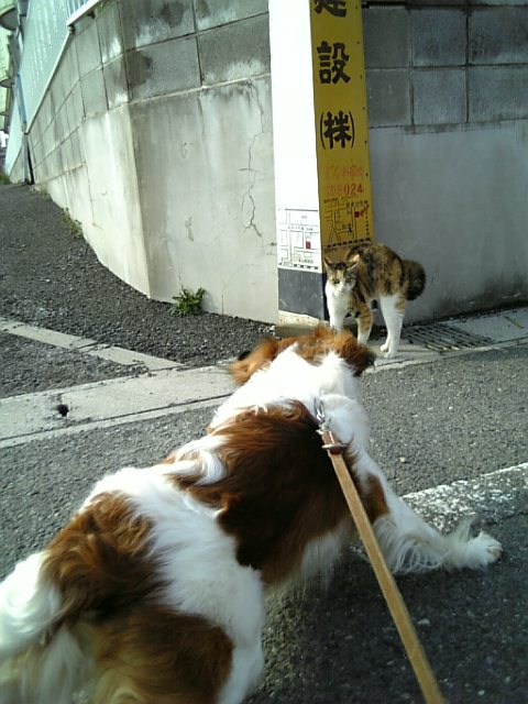 c0075585_234629100.jpg