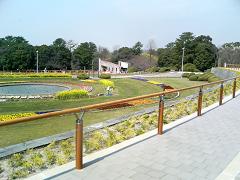 b0050787_1513485.jpg