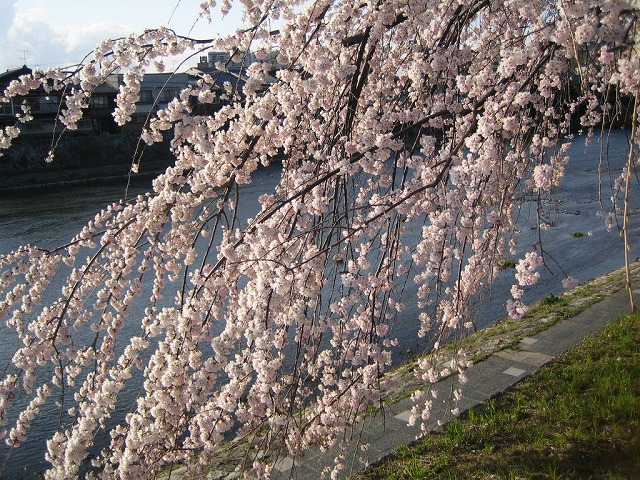 e0061694_2226466.jpg