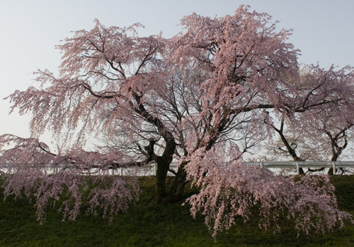a0044202_21251040.jpg