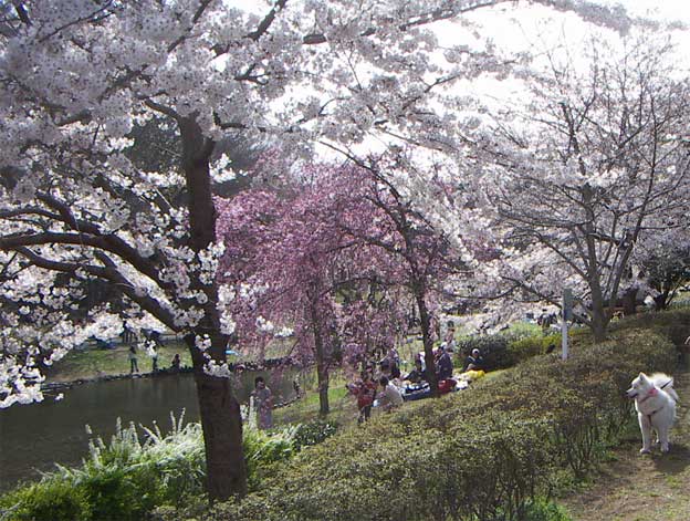 e0018604_1665511.jpg