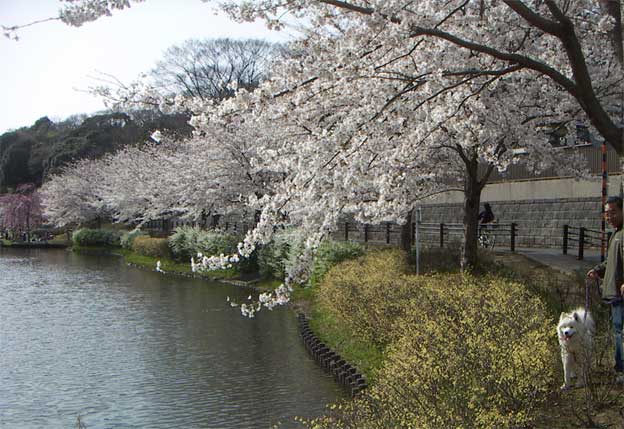 e0018604_167617.jpg