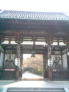 e0031911_2451798.jpg