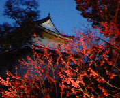 b0006423_22553991.jpg