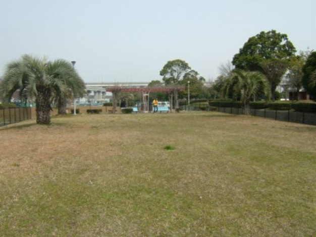 e0024126_2342235.jpg