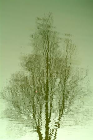f0078127_2123598.jpg