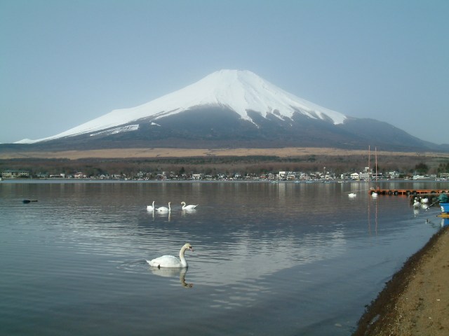 b0070657_17415719.jpg