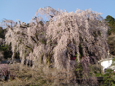 e0009060_28296.jpg
