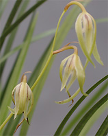 c0068168_9333452.jpg