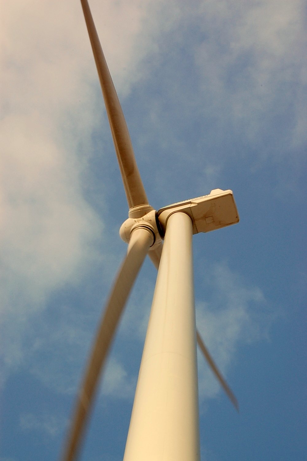 石狩 風力発電 つる草が壁一面にはびこっている 石狩 風力発電 つる草が壁一面にはびこっている