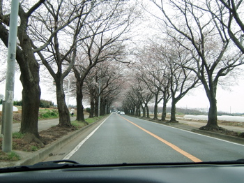 b0060402_2258983.jpg