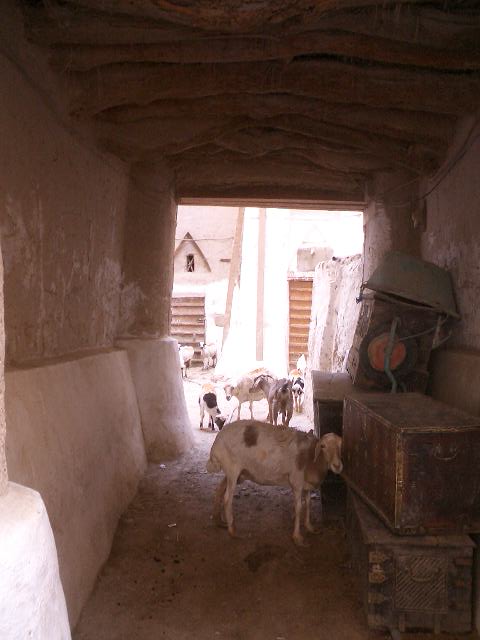 e0037019_13291345.jpg
