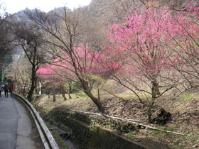 a0068424_14252288.jpg