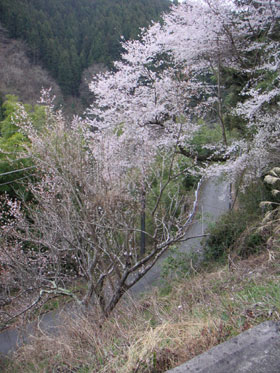 a0068424_14263534.jpg