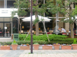 d0017632_11411266.jpg