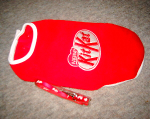 d0017632_129898.jpg