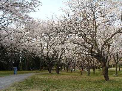 春の遠足　♪_f0002833_041525.jpg