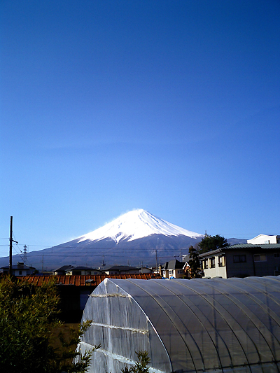 2006.3.31 朝の富士山_a0008934_9583778.jpg