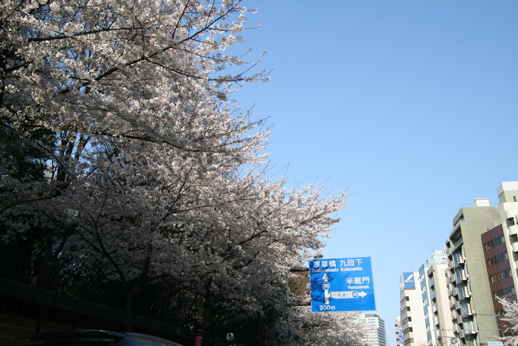 新宿　　分けとく山のお弁当_b0048834_874596.jpg