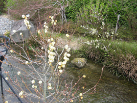 d0048140_1563841.jpg