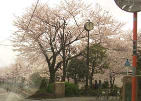 d0063149_23565655.jpg