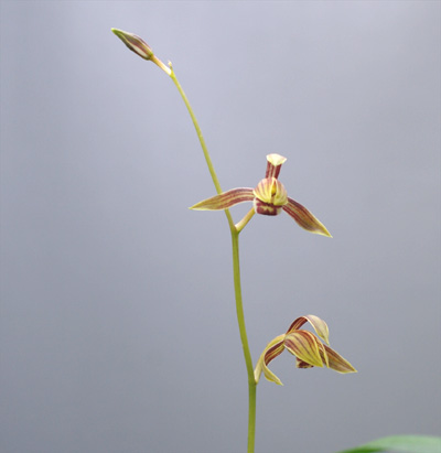 c0068168_10533827.jpg